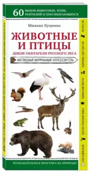 Животные и птицы. Дикие обитатели русского леса, Михаил Куценко