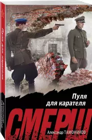 Пуля для карателя, Александр Тамоников