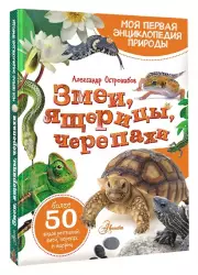 Змеи, ящерицы, черепахи