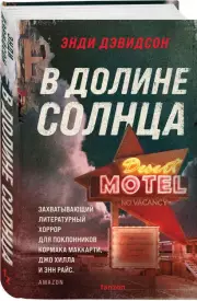 В долине солнца, Энди Дэвидсон