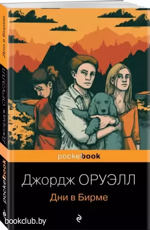 Дни в Бирме (384с)