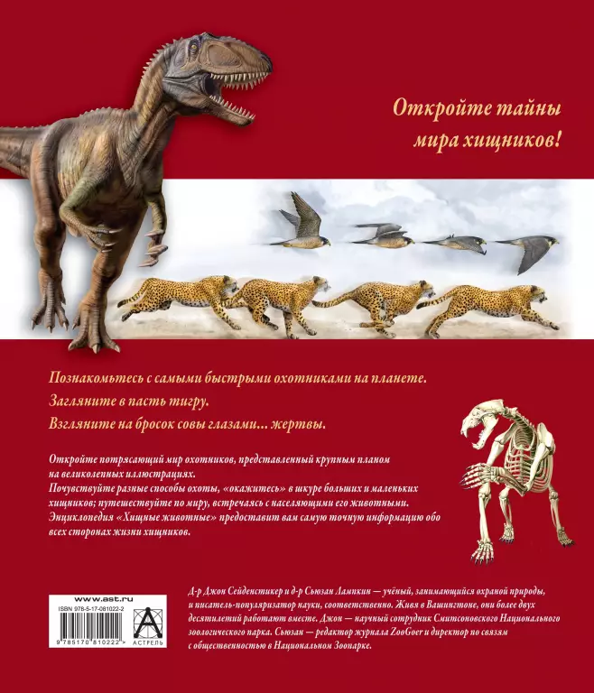 Хищные животные Хищные животные