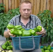 Игорь Лядов