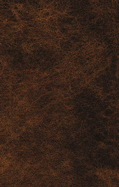 Завтра была война (640с.) Завтра была война (640с.)