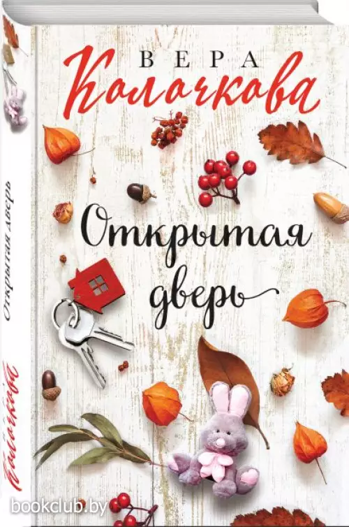  Открытая дверь (тв)