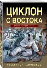 Циклон с востока, Александр Тамоников