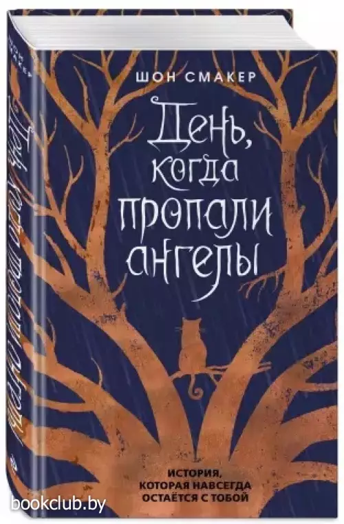 День, когда пропали ангелы