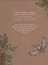 Магический бестиарий. Вдохновляющие послания и ритуалы от 36 волшебных животных (книга-оракул и 36 карт для гадания)