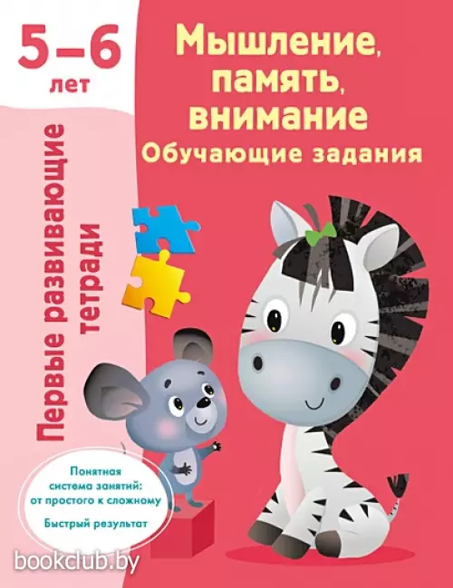 Мышление, память, внимание. Обучающие задания. 5-6 лет