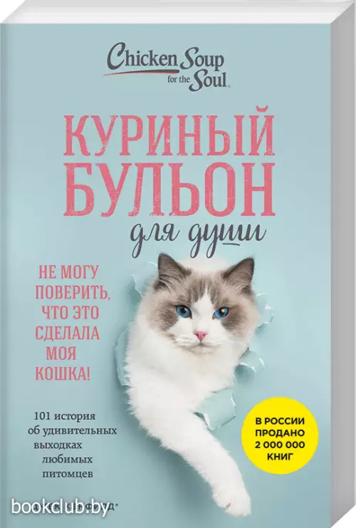 Куриный бульон для души. Не могу поверить, что это сделала моя кошка! 101 история об удивительных выходках любимых питомцев