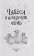  Чудеса в полярную ночь