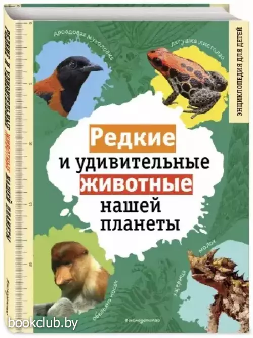 Редкие и удивительные животные нашей планеты. Энциклопедия для детей