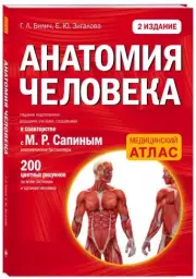 Анатомия человека: 2 издание, Габриэль Билич, Елена Зигалова