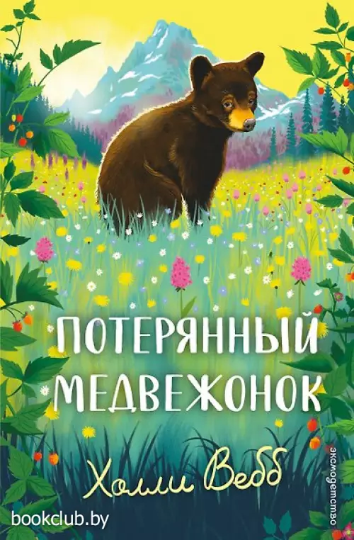 Потерянный медвежонок
