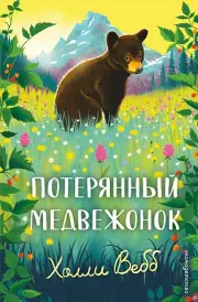 Потерянный медвежонок