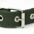 Ошейник брезентовый однослойный, 58 х 2,5 см, хаки  