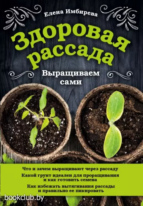 Здоровая рассада. Выращиваем сами Здоровая рассада. Выращиваем сами