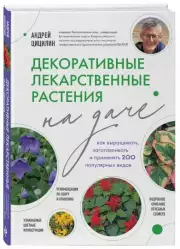 Лекарственные растения на даче. Как собирать, сушить и хранить более 200 видов, Андрей Цицилин