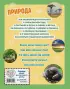 Природа. Большая энциклопедия для маленьких