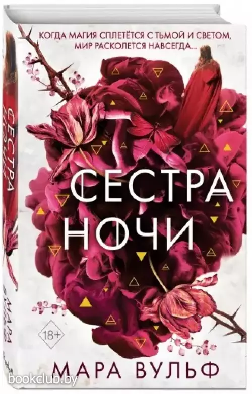 Сёстры-ведьмы. Сестра ночи