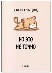 Блокнот-планер недатированный. У меня есть план, но это не точно (А4, 36 л., на скобе)
