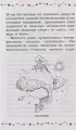 Краткая история Вселенной Краткая история Вселенной