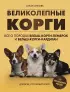 Великолепные корги. Все о породах вельш-корги-пемброк и вельш-корги-кардиган