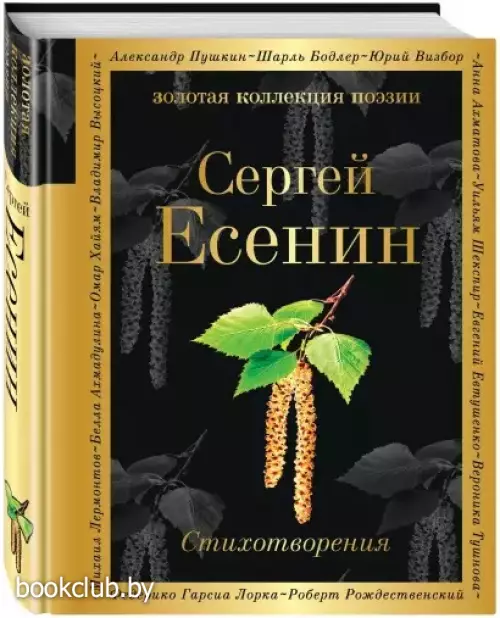 Стихотворения (С.Есенин, 352с.)
