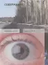 Наука. Книга юного эрудита