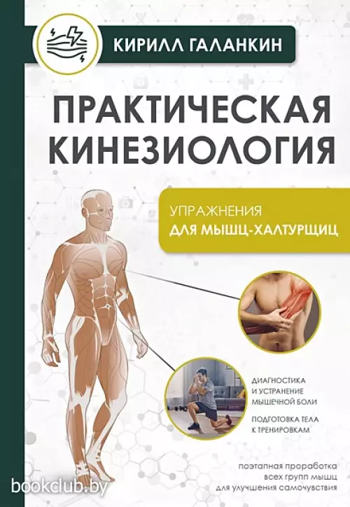 Практическая кинезиология. Упражнения для мышц-халтурщиц