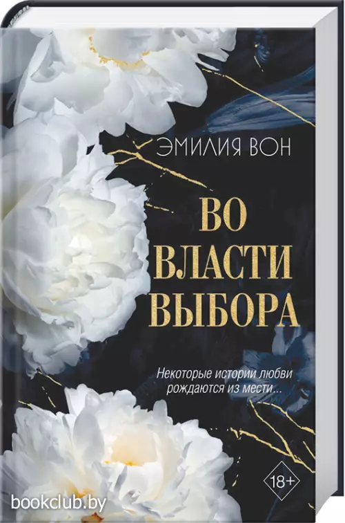 Во власти выбора