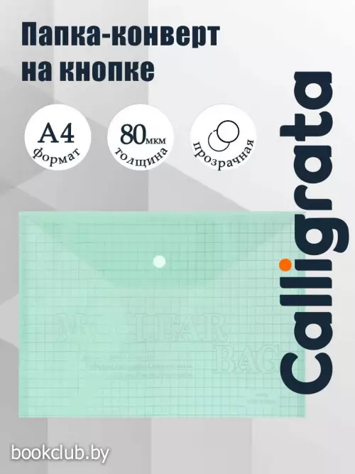 Папка-конверт на кнопке, А4, 80 мкм, «Клетка», тонированная, зелёная