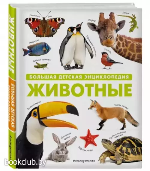 Животные. Большая детская энциклопедия