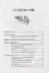 Колесо года. Календарь магических дел и праздников для современной ведьмы