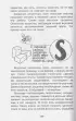 Как устроен человек Как устроен человек
