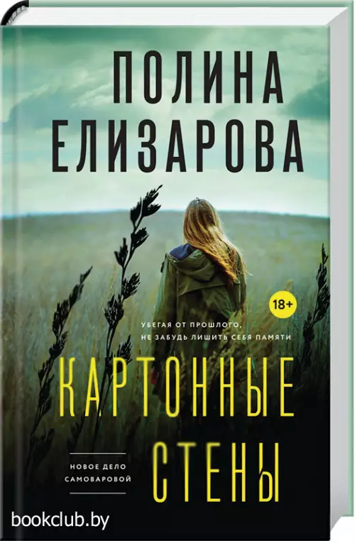 Картонные стены