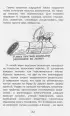 Как устроен человек Как устроен человек