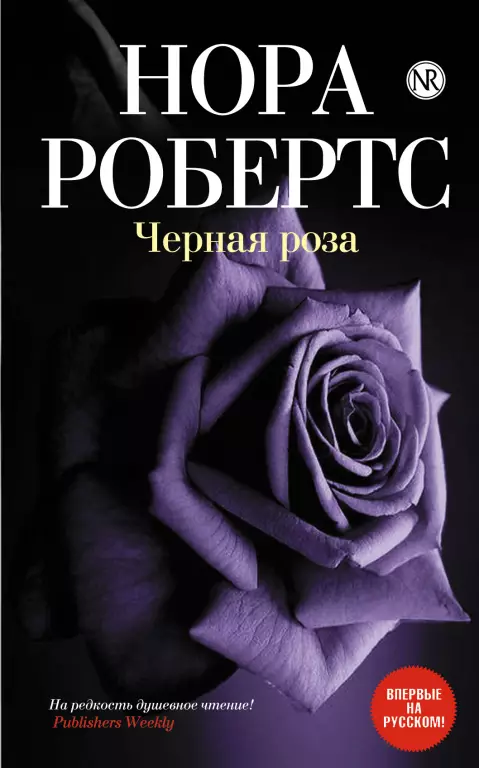 Черная роза Черная роза