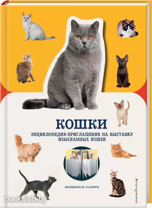 Кошки (2019)