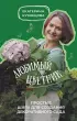 Любимый цветник. Простые шаги для создания декоративного сада Любимый цветник. Простые шаги для создания декоративного сада