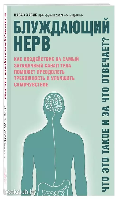 Блуждающий нерв. Что это такое и за что отвечает?