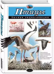 Птицы. Полная энциклопедия, Юлия Школьник