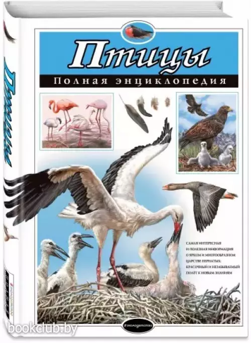 Птицы. Полная энциклопедия