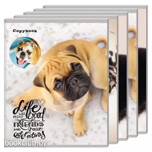 Набор тетрадей в клетку «Радостные собачки», 5 шт.  (48 л., А5)