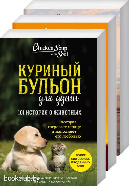 Куриный бульон для души. 303 лучшие истории, которые согревают сердце и исцеляют душу (Новый комплект из 3-х книг) Куриный бульон для души. 303 лучшие истории, которые согревают сердце и исцеляют душу (Новый комплект из 3-х книг)